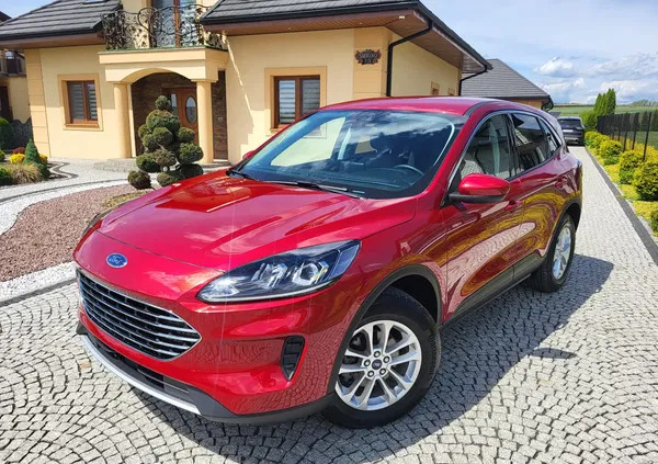 ford kuga małopolskie Ford Kuga cena 81999 przebieg: 18000, rok produkcji 2022 z Tarnów